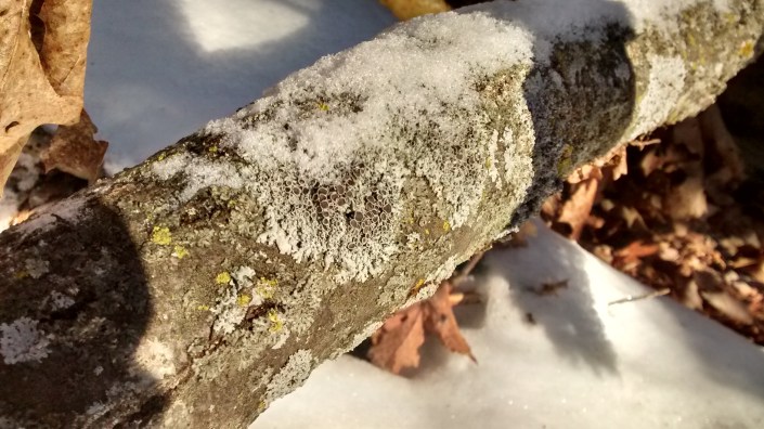 Home 1-10-16 above house lichen zero degrees