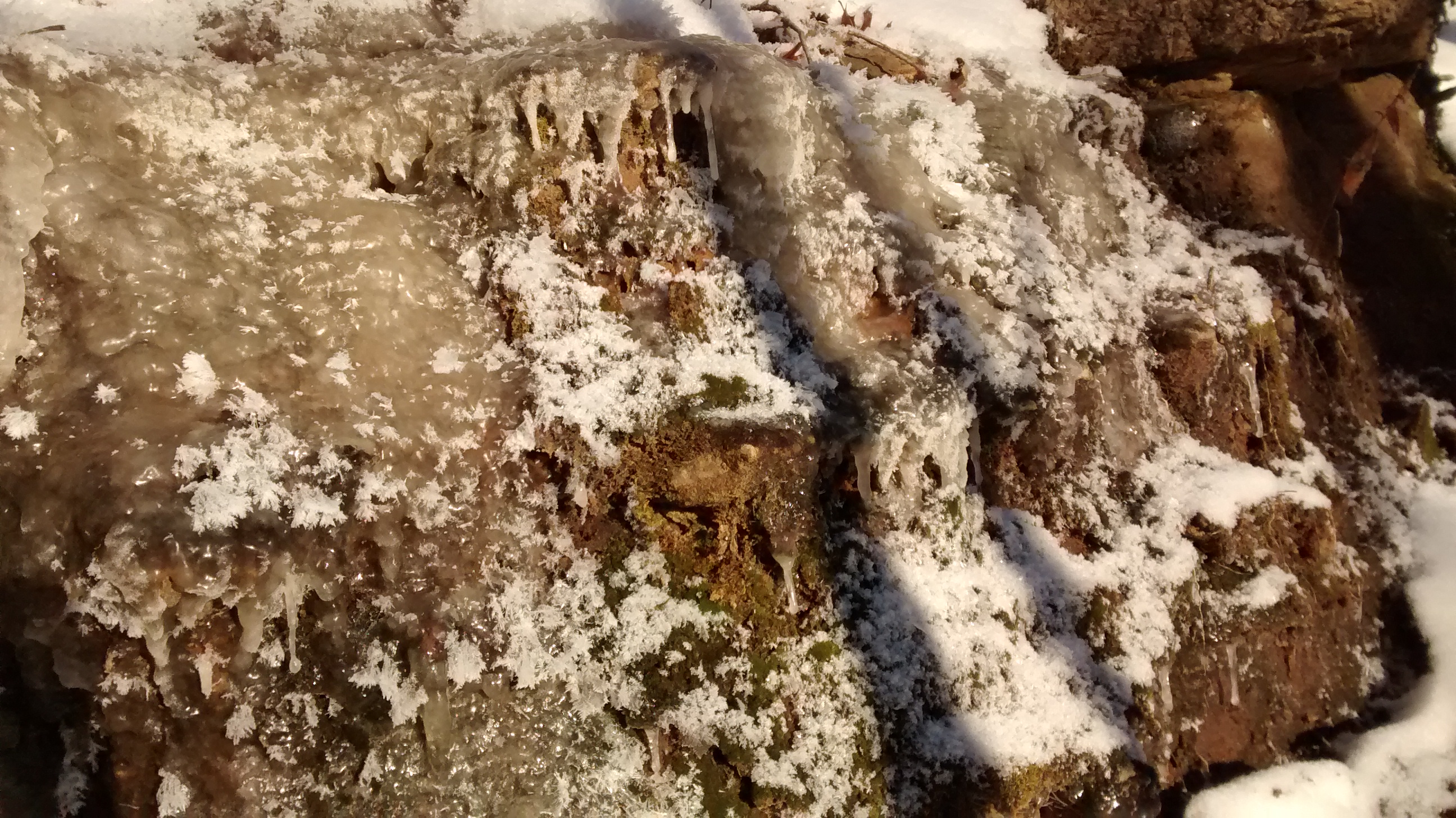 Home 1-10-16 lichen under ice rock face