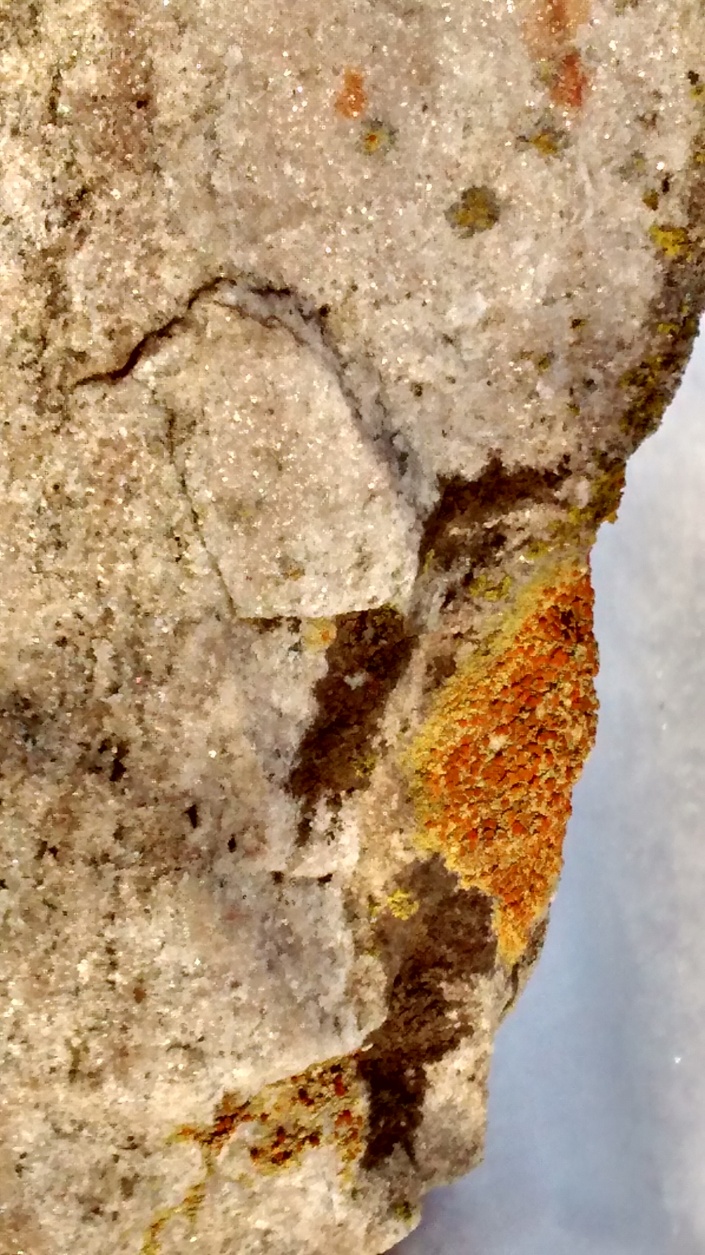 Home 1-10-16 lichen zero degrees in slide 2
