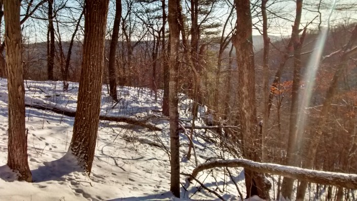 Home 1-10-16 point above house and east