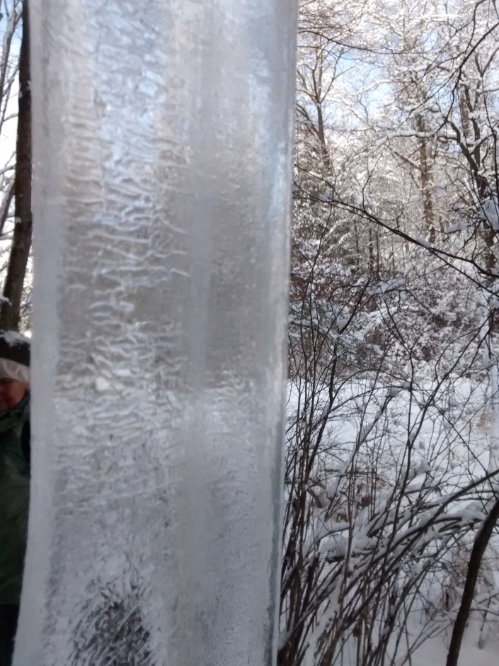 CO trail 2-4-16 icicles g