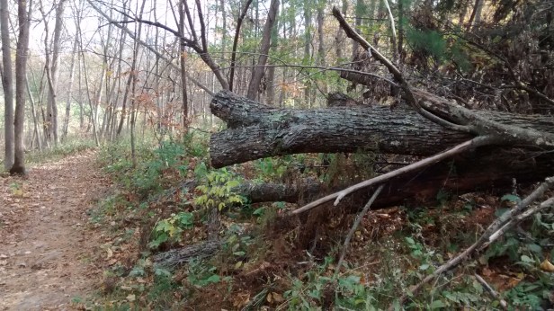 wg2-site-view-sample-log-10-19-15