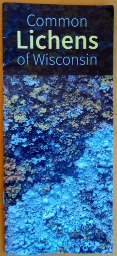 Common lichens of Wisconsin