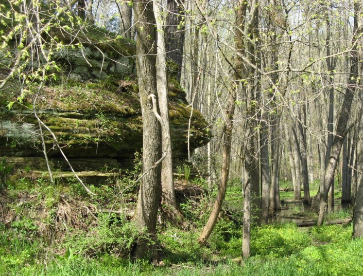 North of Cty P cliff