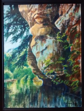 Kickapoo Cathedrals 1